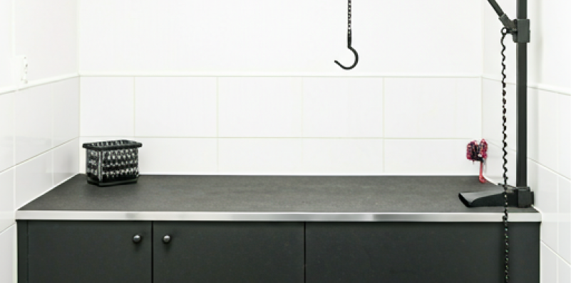 Zone de Toilettage